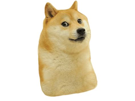 Doge Template Pack Dogelore
