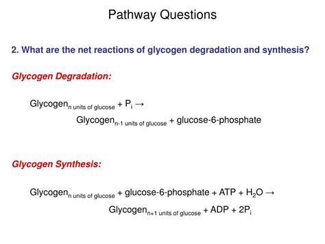 Ppt Carbohydrate Metabolism Glycogen Degradation Glycogen