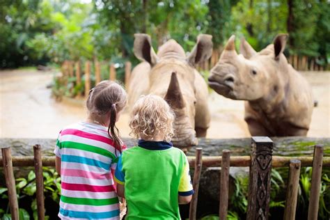 Plan Your Visit To The Greenville Zoo Bradshaw Automotive Group