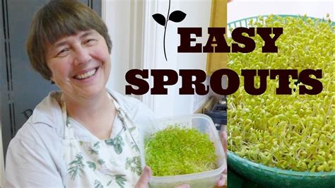 How To Sprout Sprouts Sprouting Made Easy Broccoli Sprouts