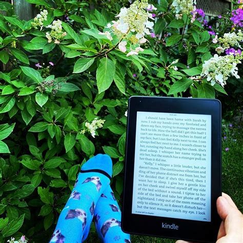 photo by alisa book lover in toronto canada with divvyup image may contain plant and tree