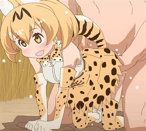 Tomu Tomubobu Serval Kemono Friends Kemono Friends Serval Tail