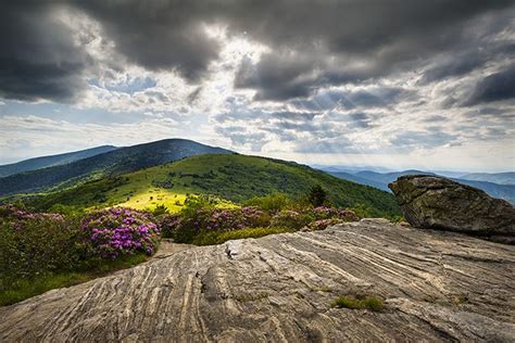 Roan Mountain Appalachian Trail Landscape Photography Appalachian