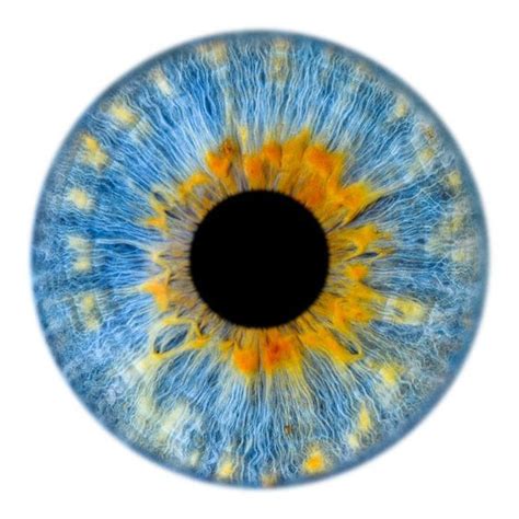 Unusual Irises In People S Eyes The Project Windows To The Soul Pikabu Monster