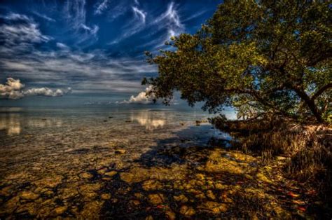 Florida Keys Landscape Beautiful Places Vacation Plan Great Places