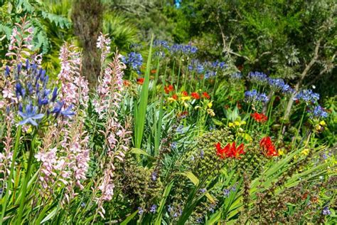 Abbotsbury Subtropical Gardens Best Of Dorset Attractions