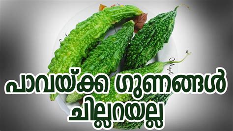 To start, add content and a background image to get people engaged with your brand. പാവയ്ക്ക ഗുണങ്ങൾ ചില്ലറയല്ലHealthy kerala | Health tips ...