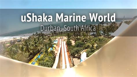 Ushaka Marine World Durban South Africa Youtube