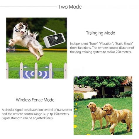 Reviews Wireless Dog Fence Systemelectric Dog Fencesafe Containment