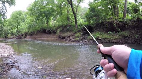 Creek Fishing With Ultralight Setup Youtube