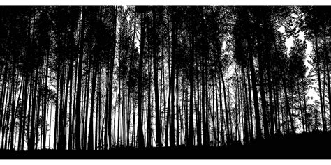 Forest Trees Silhouette Png