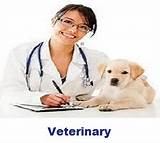 Images of Veterinary Equipment Leasing