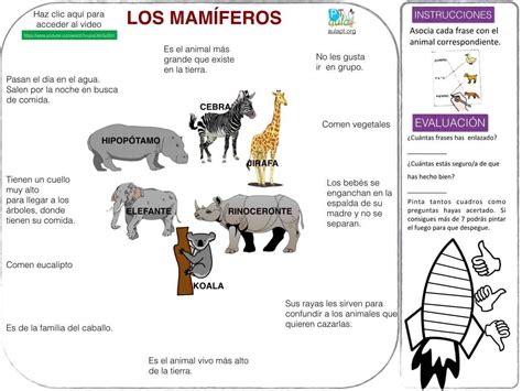 Clasificación De Mamíferos Y De Invertebrados El Rincón De Aprender