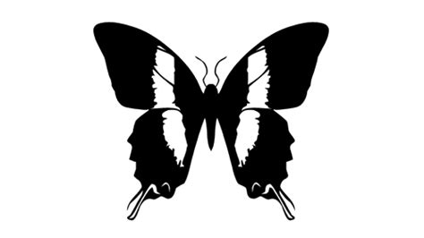 Butterfly Sticker Decal 010