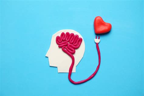 Understanding The Connection Between Heart And Brain Health Saenz