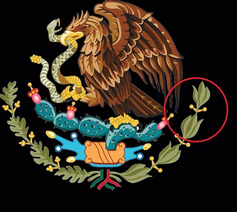 Escudo de la bandera de mexico vector. México, dos siglos con un error en su bandera