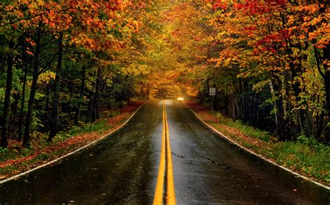 The Best American Road Trips To See Fall Leaves Fall Foliage Road My