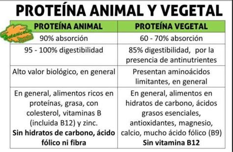 ¿cómo Hacer Un Cuadro Comparativo Paso A Paso Cuadro Comparativo