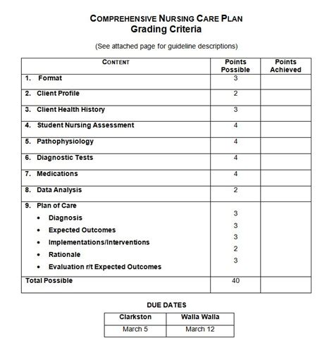 Maternal and child nursing (notes). Veterinary Home Care Plan Template | plougonver.com