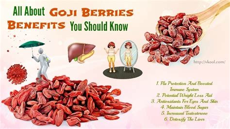 All About Goji Berries Benefits You Should Know