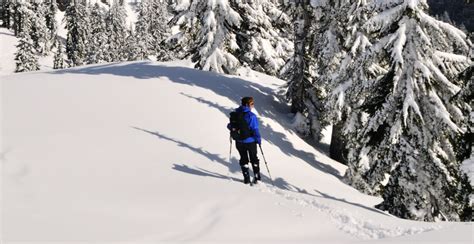 Here Are The Best Places To Snowshoe Near Vancouver Curated