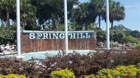 Spring Hill Florida Imhotep