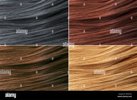 Hair Colors Palette Hair Texture Background Hair Colours Set Tints