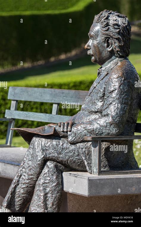 Albert Einstein Skulptur Fotos Und Bildmaterial In Hoher Auflösung