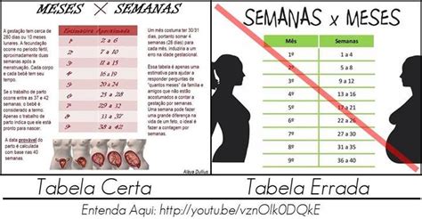 Todo este movimento é fundamental para o saudável desenvolvimento dos ossos, músculos e articulações. Tabela MESES X SEMANAS (Atualizada) - Janeiro de 2016 ...