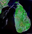 Google satellite sri lanka map - lassagarden
