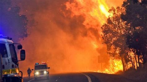 Lebih dari 7,7 hektare lahan telah terbakar di australia akibat. Kebakaran Hutan di Australia: 24 Orang tewas, 8000 Koala ...