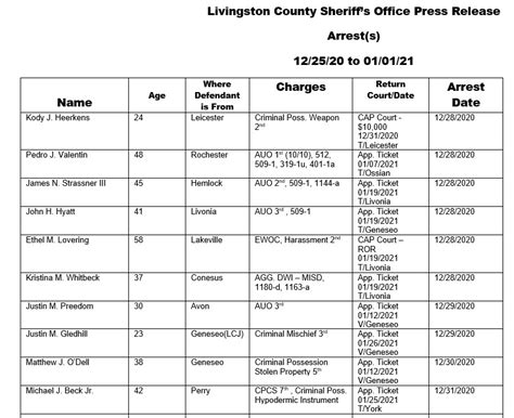Wellsville Regional News Dot Com Livingston County Sheriffs Blotter