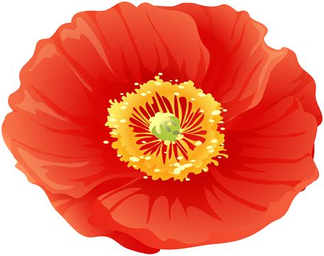 Poppy Flower Clipart Png Clip Art Library