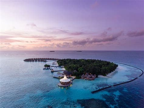Baros Maldives Desde 15244 Baros Island Maldivas Opiniones Y