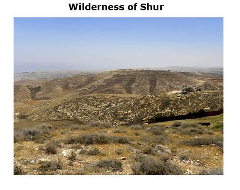 Wilderness Of Shur Natural Landmarks Wilderness Nature