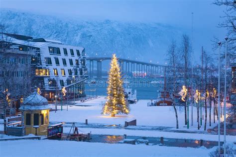 Christmas Tree In Tromso Norway Tromso At Winter Time Stock Image