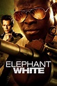 Elephant White (2011) - Vodly Movies