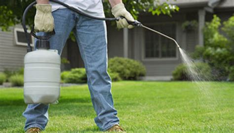 Use only sharp blades and return clippings to the lawn. Best DIY Pest Control blogs! | A Listly List