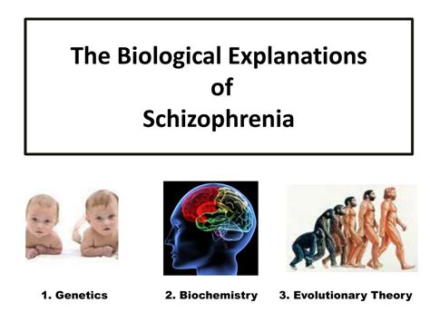 ppt the biological explanations of schizophrenia powerpoint presentation id 5080254