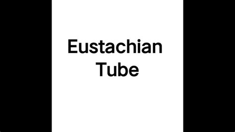 Eustachian Tube How To Pronounce Eustachian Tube In British Accent