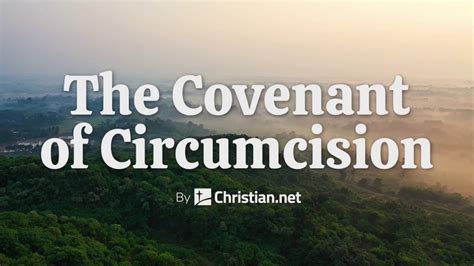 Genesis 17 The Covenant Of Circumcision Bible Stories Youtube