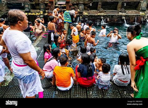 Balinese Visitors Bathing In The ‘holy Spring Pools During A Hindu Festival Tirta Empul Water