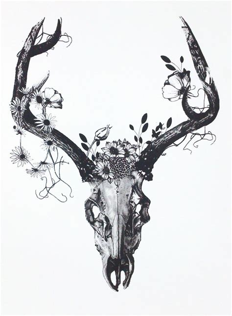 Draw Animal Skull With Flowers Bird Skull Ink On Paper 95x10cm
