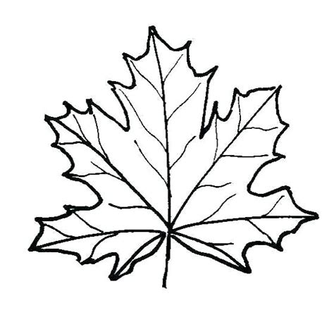 Printable coloring pages for kids of all ages. Leaf Coloring Pages For Preschool at GetColorings.com ...