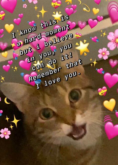 Wholesome Meme I Stole From The Internet Pt18 Cute Love Memes Love