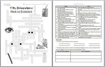 We have all seen forensic scientists in tv shows, but how do they really work? Forensic Science Chapter 1 Review Crossword Puzzle Answers | crossword for kids