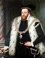 Luminarium Encyclopedia: Biography of Sir Henry Sidney (1529-1586)