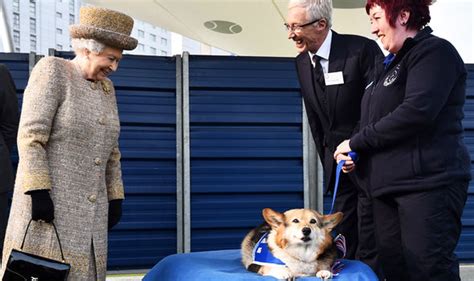 The Queen Left Heartbroken By Loss Of Her Last Corgi Willow Put Down At Windsor Castle Royal