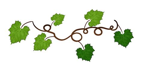 Grapes Vine Background With Its Branches And Leaves 22577124 Vector