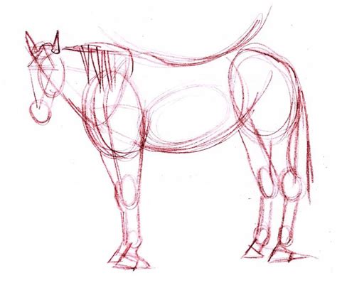 Tutorial To Teach You How To Draw A Realistic Horse In Colored Pencil